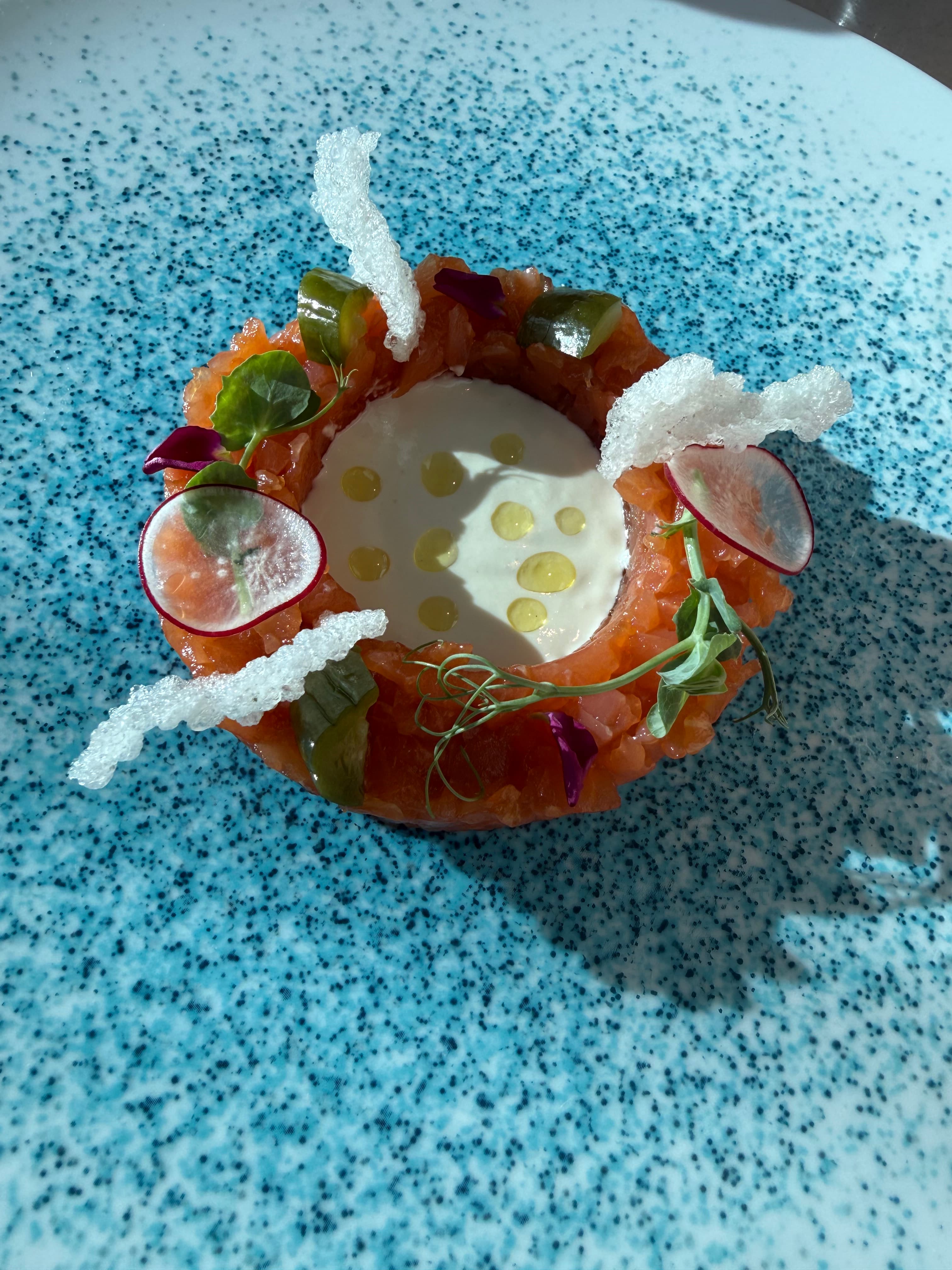 Salmon tartare