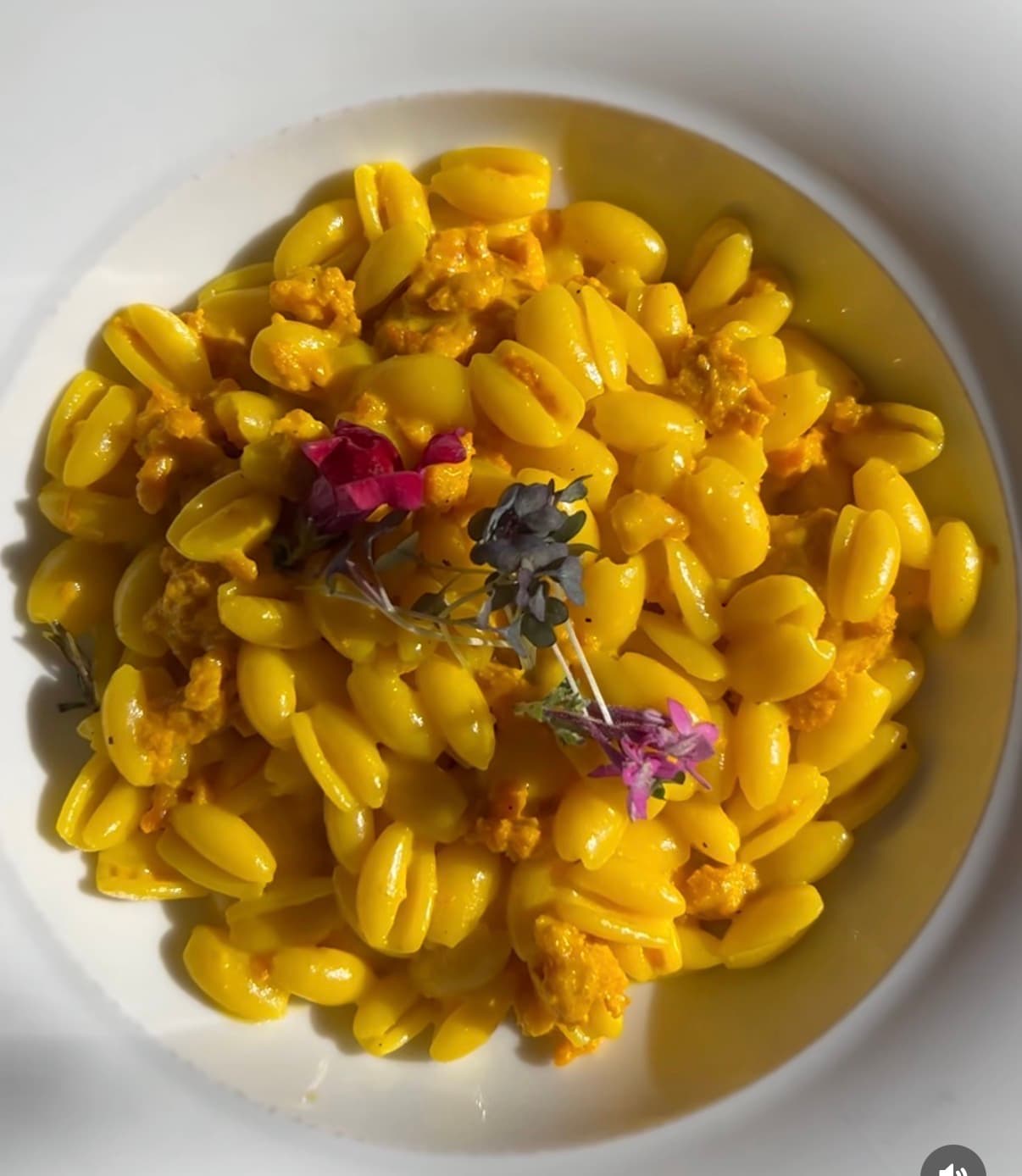 Turmeric cavatelli with sausage